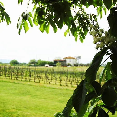 Bed & Breakfast La Ginestra 3*